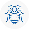 Bed Bug Extermination In Chigwell